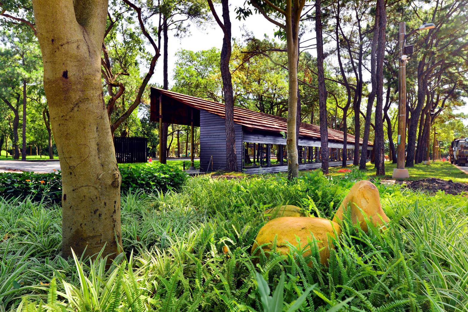 地方政府首例 桃園環保局建置氣候「調適圖台」　以即時環境數據強化高溫防護 (2).jpg